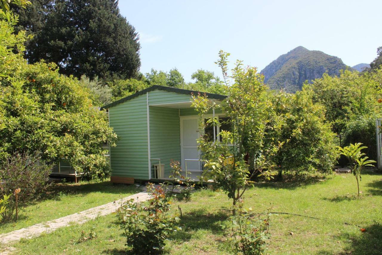 Sakli Bahce Pension Cirali Exterior photo