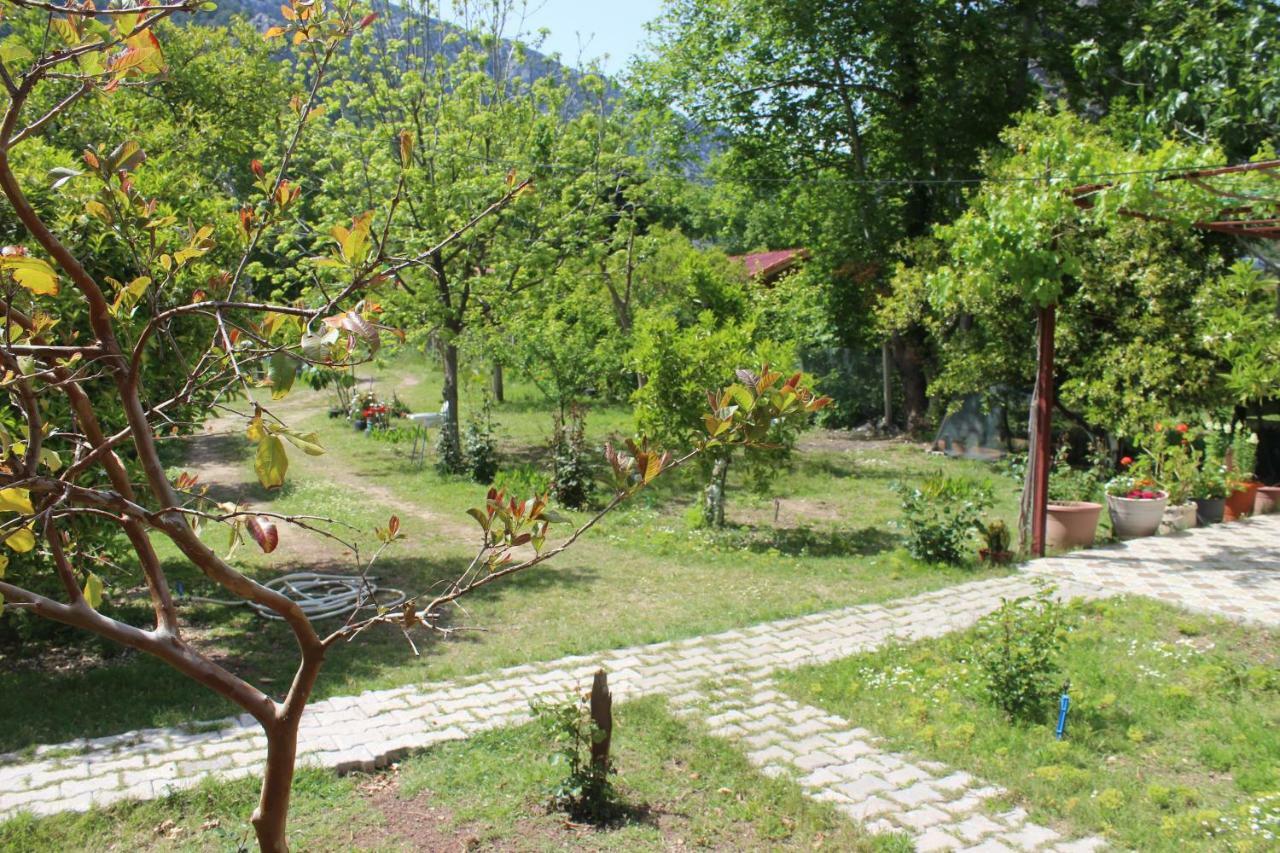 Sakli Bahce Pension Cirali Exterior photo