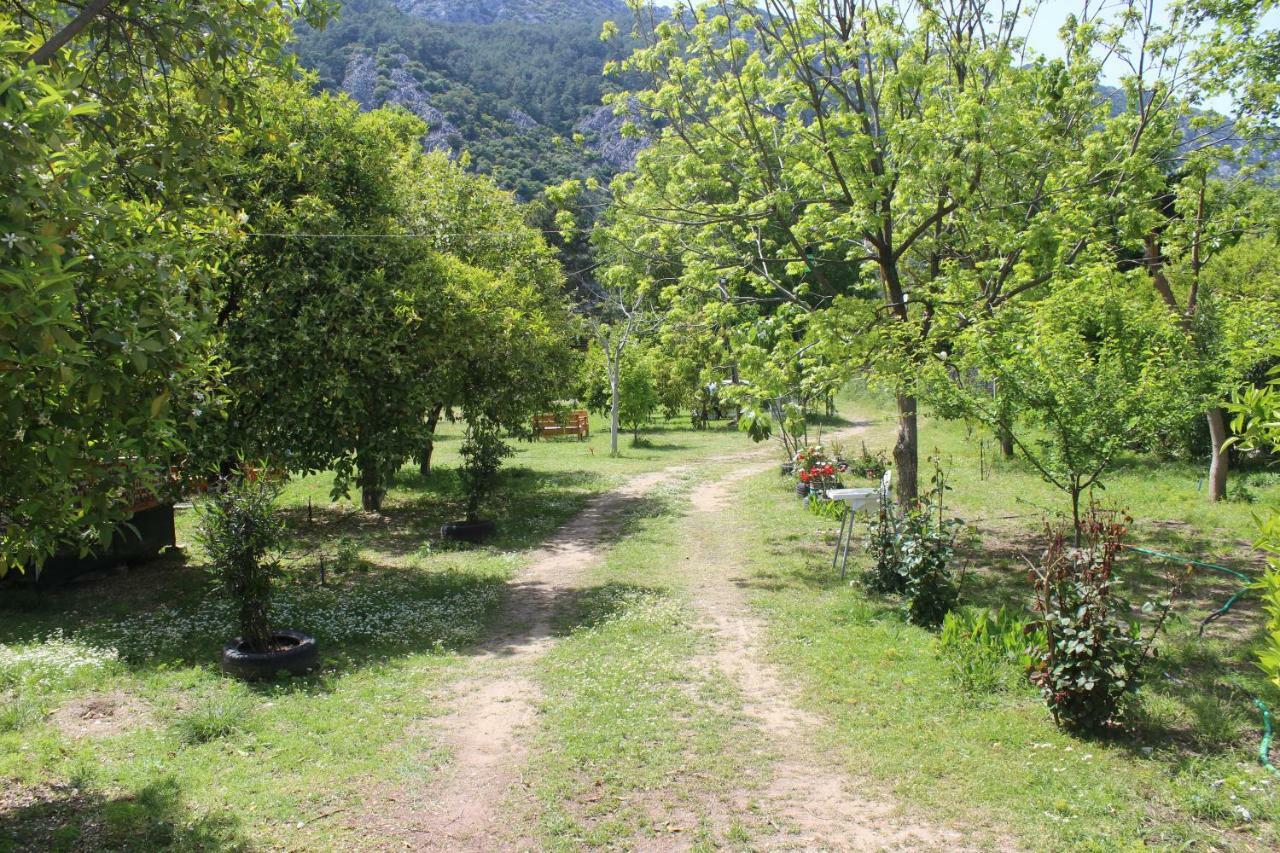 Sakli Bahce Pension Cirali Exterior photo