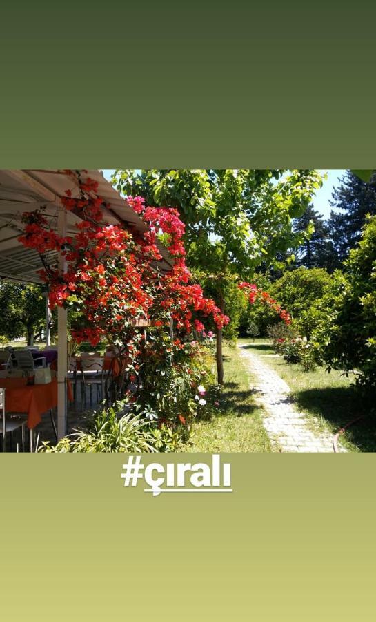 Sakli Bahce Pension Cirali Exterior photo