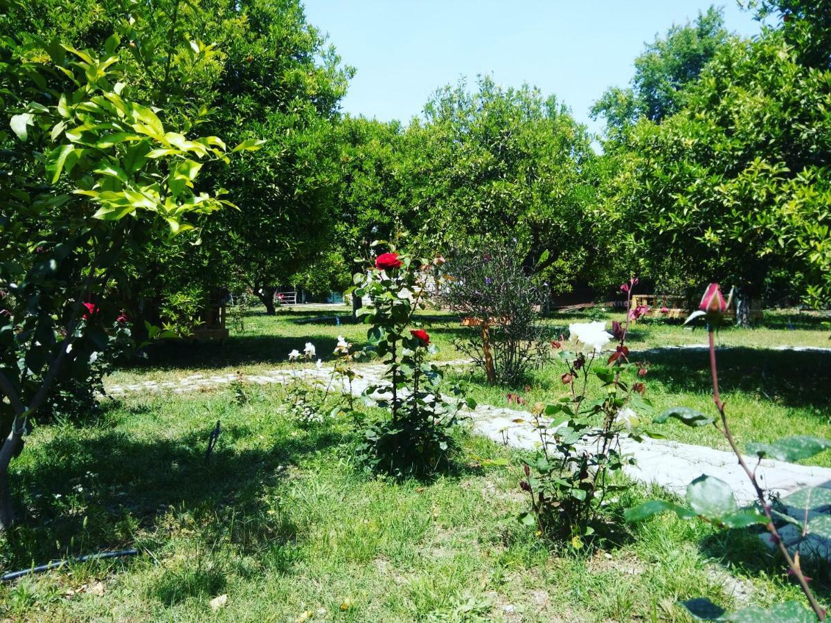 Sakli Bahce Pension Cirali Exterior photo
